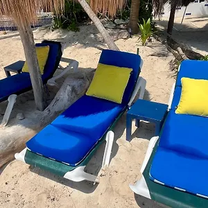 Beachfront Hammock Heaven Apartament