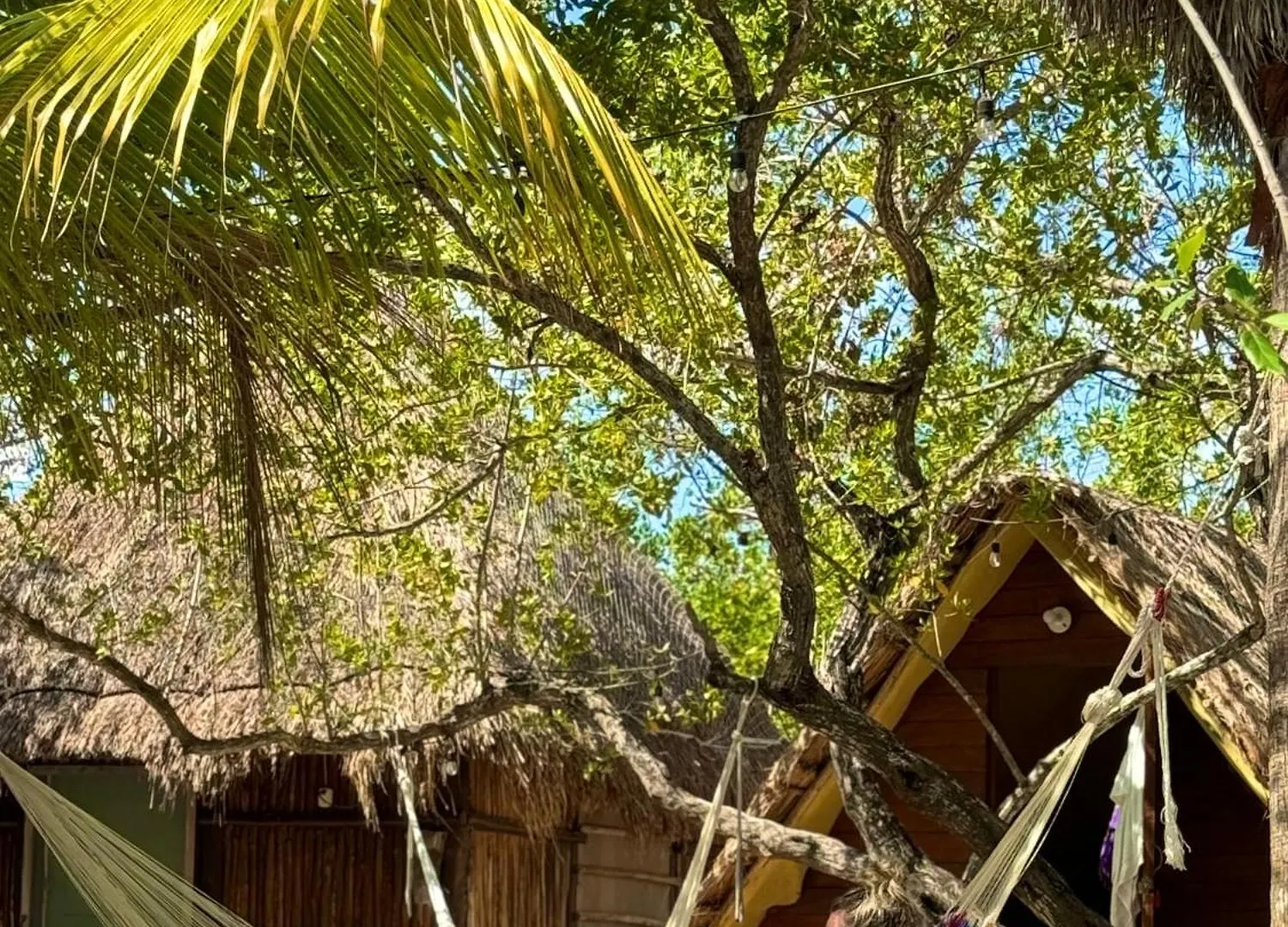 Kemping La Aldea Holbox Cabanas Y Camping